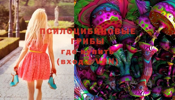 спиды Надым